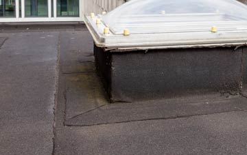 disadvantages of Spring Gdns flat roofs