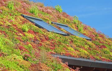 Spring Gdns living roof systems