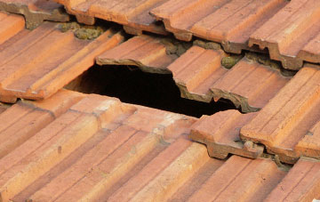 roof repair Spring Gdns, Shropshire